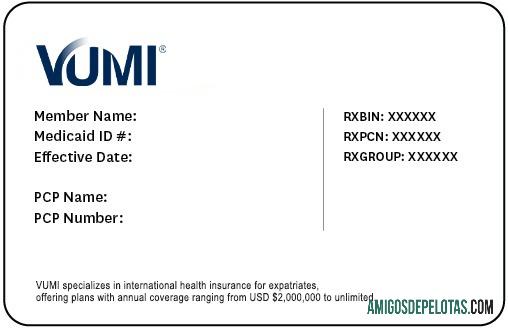 Cartão de Seguro Saúde do Paraguai baixar para verificação